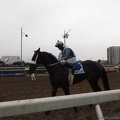 Image00022